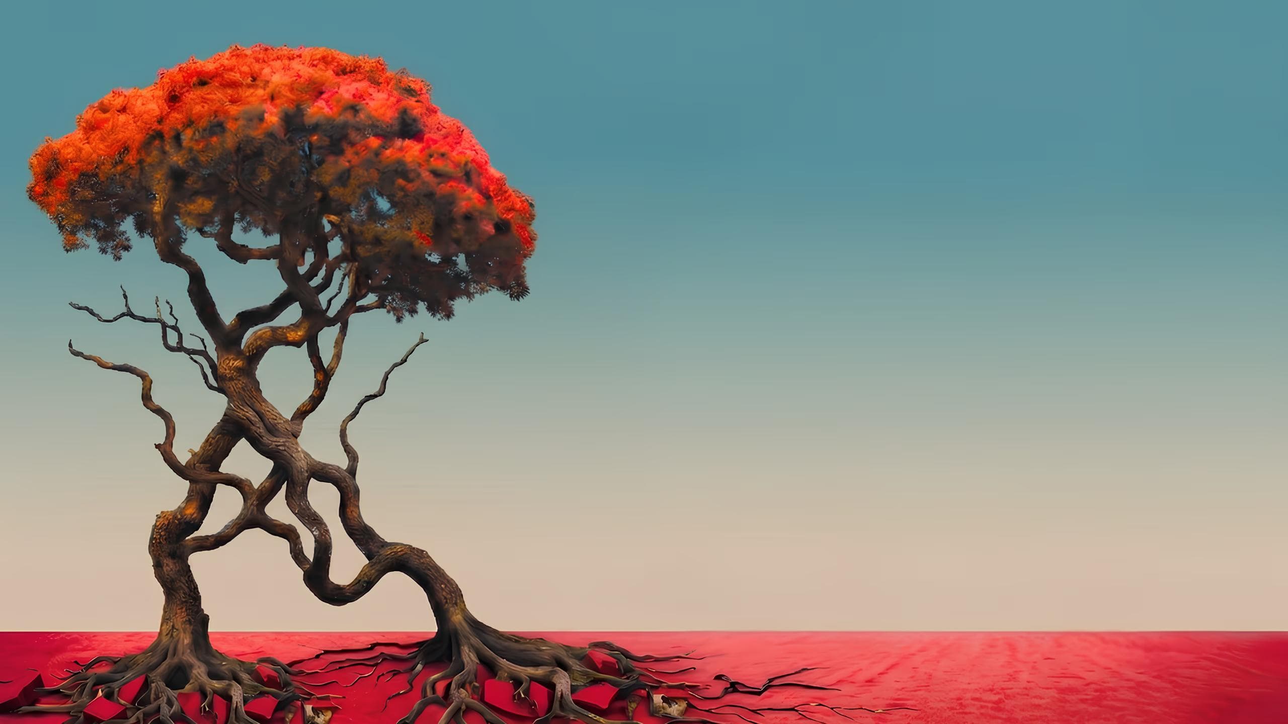 Immagine editoriale con albero rosso per i 25 anni di Ermo Colle.